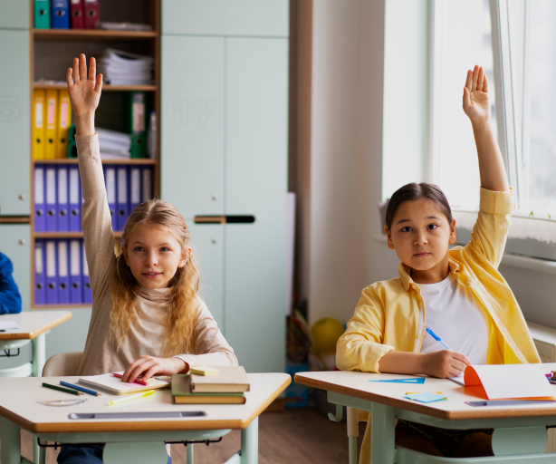 Votação eletrônica e online para escolas