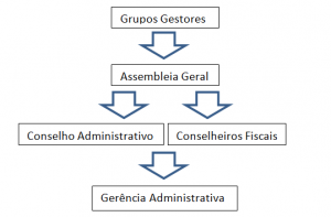 Como funciona a gestão das Cooperativas - Eligo Voto Brasil