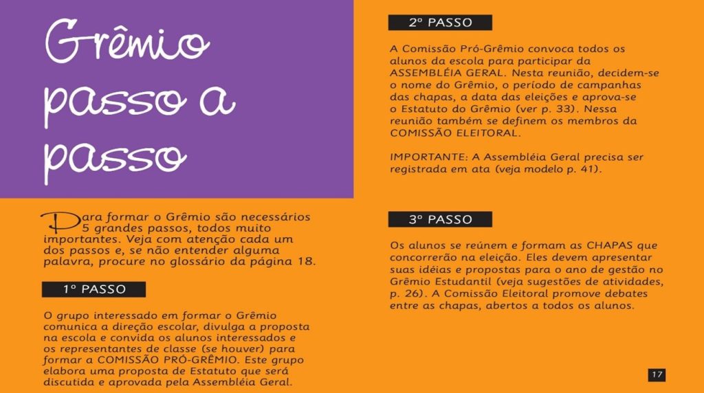 resumo do passo a passo para a criação dos grêmios estudantis