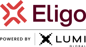 Plataforma enterprise de votação online Eligo e parceria com Lumi Global