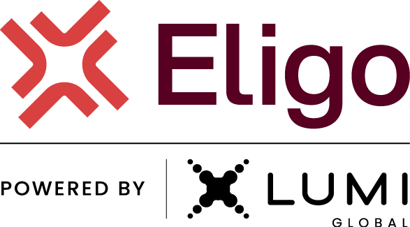 Plataforma enterprise de votação online Eligo e parceria com Lumi Global